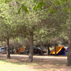 Camping y Cabañas Levalle