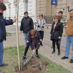 Reposición de árboles: Vecinos plantaron tilos sobre Av. 25 de Mayo