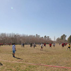 Más de 1200 chicos participaron de un encuentro deportivo de Escuelas Secundarias